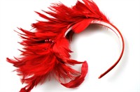 Haarreif Feder Carmen