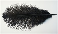 Veer zwart (L=35 cm)