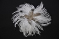 Bloem veren wit met haarclip