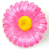 Pink-blume 8,5 cm. 