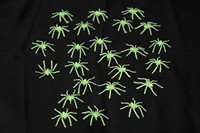 Spinnen glow-in-the-dark 24St.