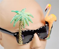Glasses Flamingo