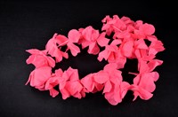 Hawaiiketting fluo pink