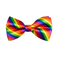 Bow tie glitter rainbow