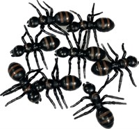 Spinnen 8St.