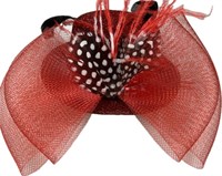 Mini hoed rood met veren & haarclips