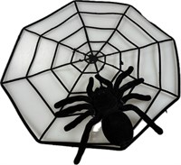 Spinnennetz mit großer Spinne