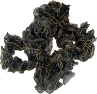 Boa Organza black/gold 220 cm