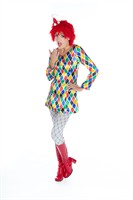 Clowns jurk ruitjes 
