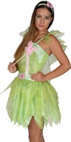 Dream fairy Lydia