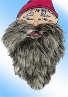 Baard kabouter grijs (met elastiek)