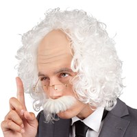 Wig Professor beard & glasses wit