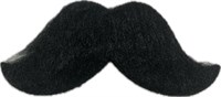 Baard “Schnurre” zwart klein