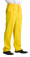 trousers luxury yellow