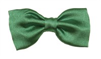 Superfliege grün Satin (9x4 cm)