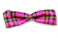 Fliege Pinky