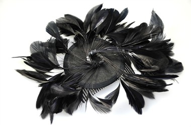 haar accessoires Diana met kam