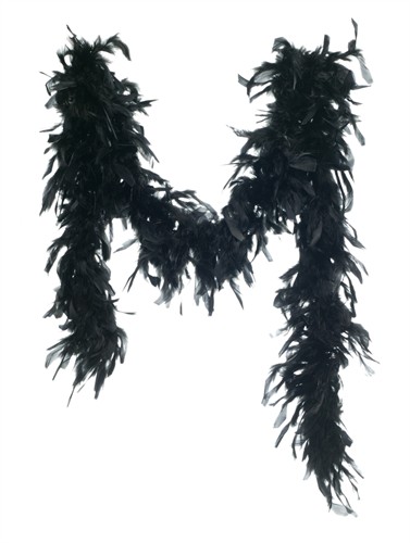 Federboa schwarz (L=180 cm)