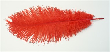 Feder Drap rot (L=35 cm)