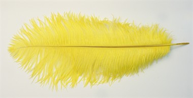 Feder Drap Gelb (L=35 cm)