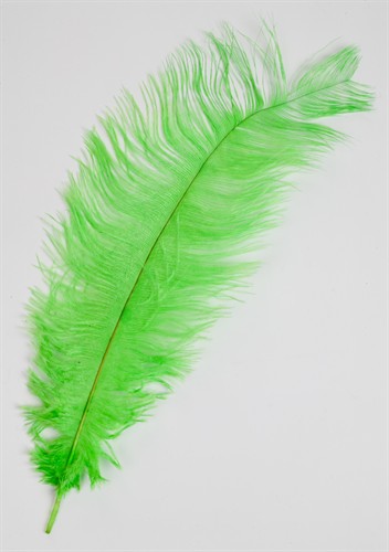 Feder Drap fluo Grün (L=35 cm)