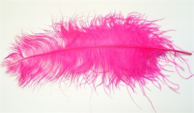 Feder Spadona fluo Pink (L=60 cm)
