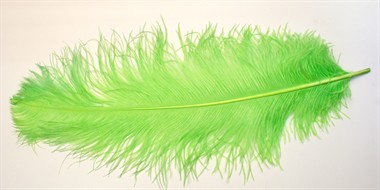 Feder Spadona fluo Grün (L=60 cm)