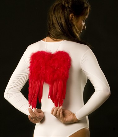 Vleugels veren klein rood (24x32 cm)