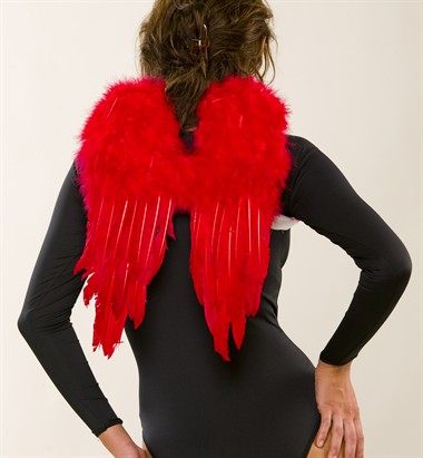 Vleugels veren middel rood halloween (32x43 cm)