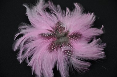 Bloem veren baby roze met haarclip