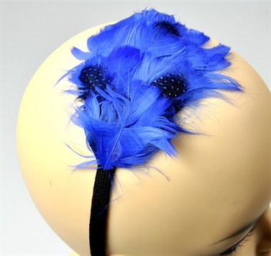 diadeem veren blauw