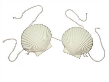 BH-venusschelp wit plastik (Ø=15 cm)