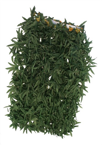 Hawai-rock Grün-blätter (L=65 cm)