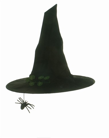 Heksenhoed met spin/klimop halloween one size (H=40 cm)