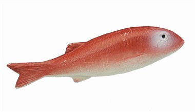 Red fish