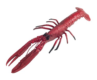 Kreeft (31x10 cm)