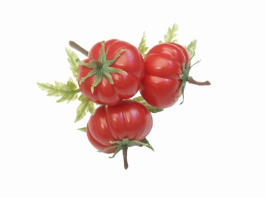 Tomatenstrauss mini (12x12 cm)