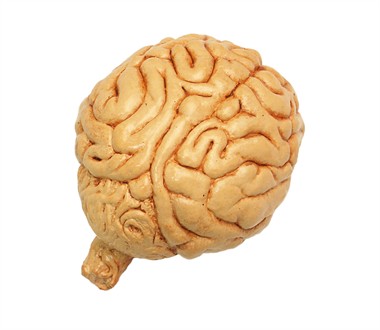 Brains decoratie halloween (16x11 cm)