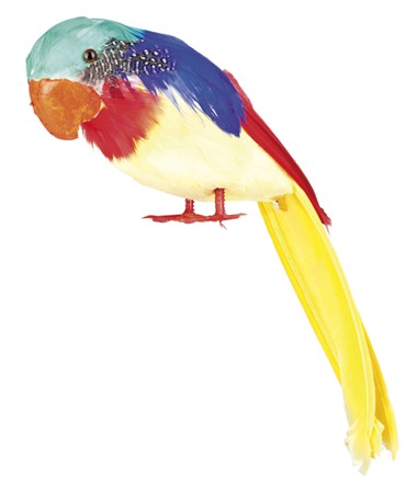 Papagei Tweets 30cm 