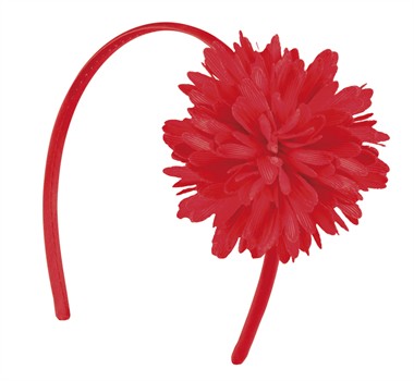 Haarreif rot Aster