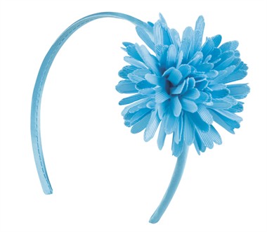 Diadeem blauw Aster