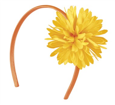 Diadeem geel Aster