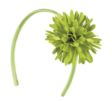 Diadeem groen Aster
