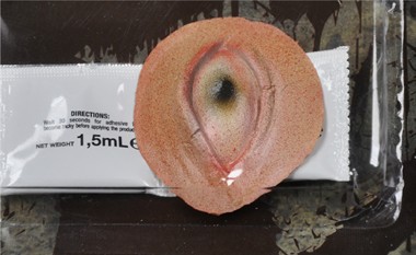 Das dritte Auge 