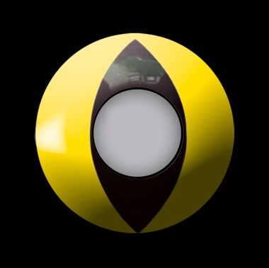 Contactlenzen UV yellow cat (12 maanden)