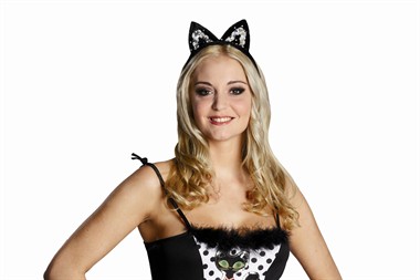 Haarreif Katze