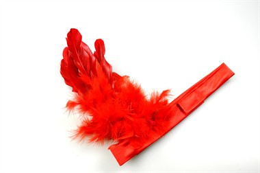 Hoofdtooi rood