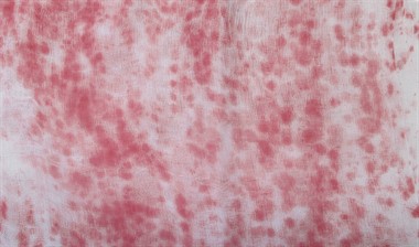 Blutige Tischdecke Halloween