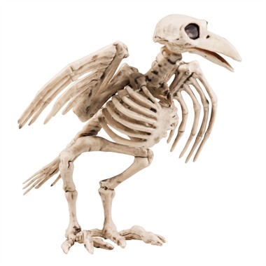 Deko Skelett Krähe 18cm  Halloween
