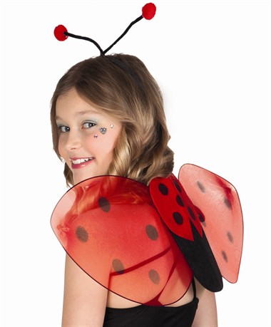 Set lieveheersbeestje (vleugels & diadeem)